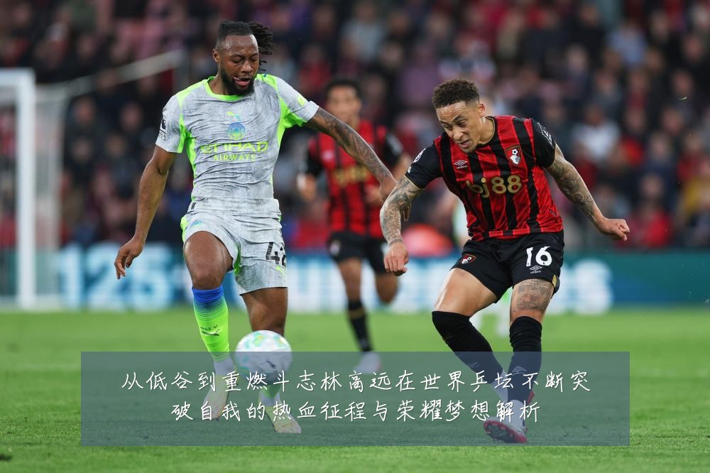 从低谷到重燃斗志林高远在世界乒坛不断突破自我的热血征程与荣耀梦想解析