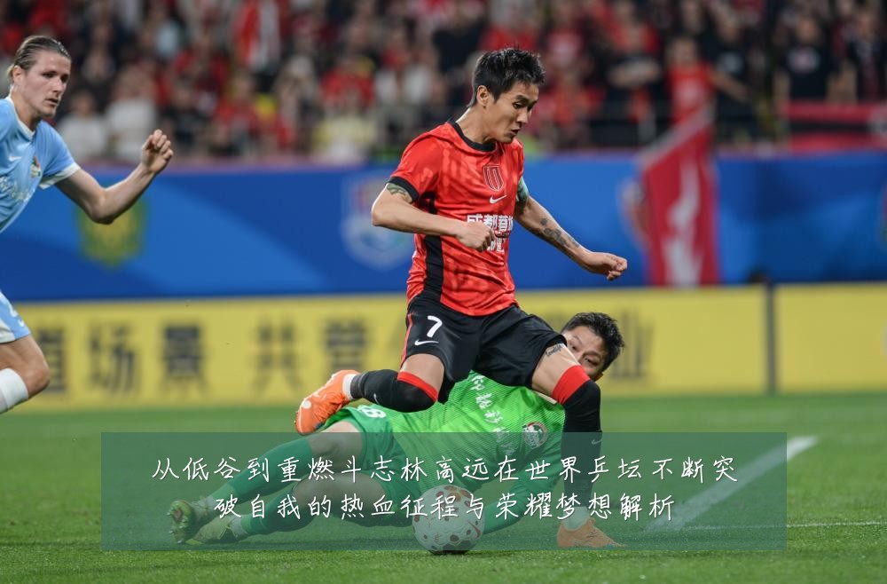 从低谷到重燃斗志林高远在世界乒坛不断突破自我的热血征程与荣耀梦想解析